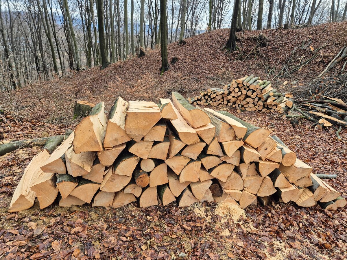 Palivové drevo aj suché - 2