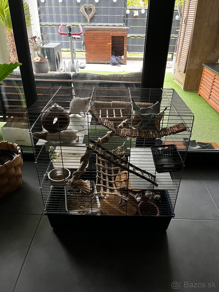 Klietka pre hlodavce - 2