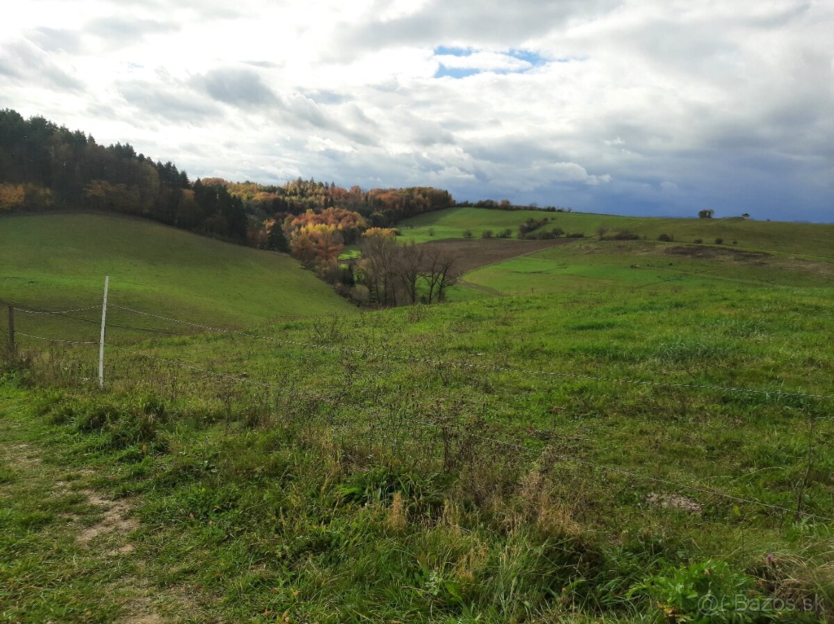 Predám pozemok v Trnovom - 2