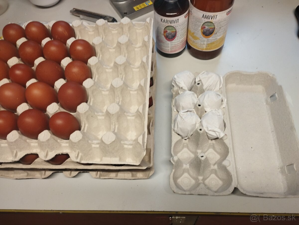 nasadove vajíčka, vajcia - 2