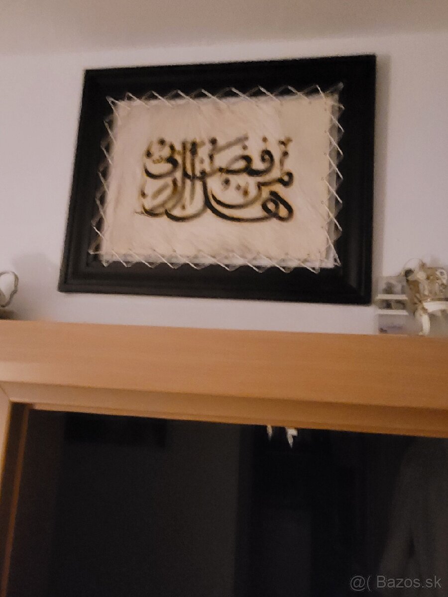 Obraz z lamiej kože - 2