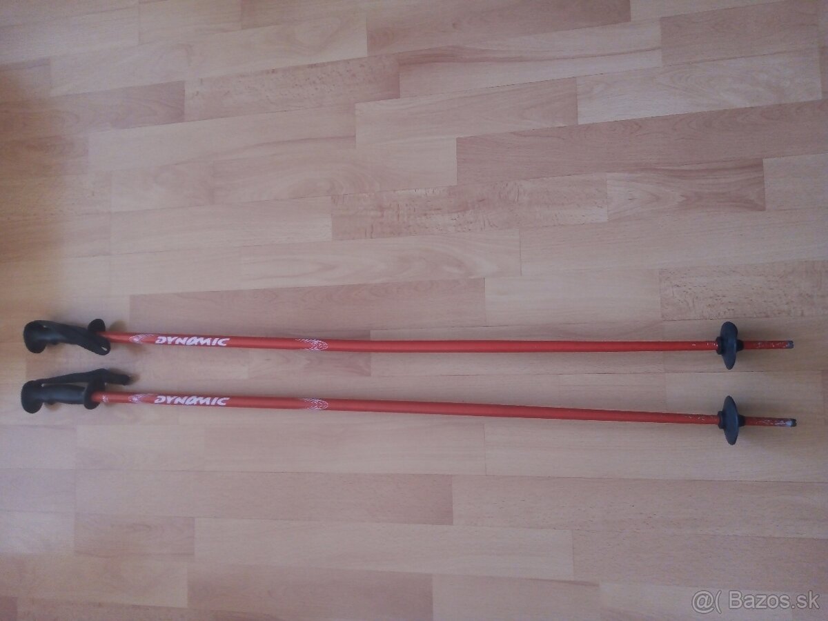 Lyžiarske paličky - 2