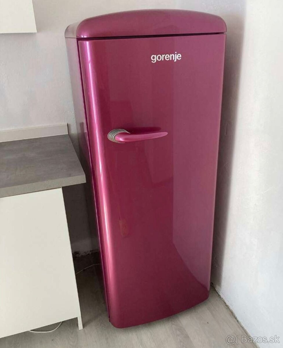 Retro chladnička Gorenje - 2