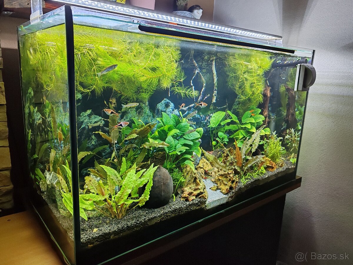 Akva 126l, svetlo, filter - 2