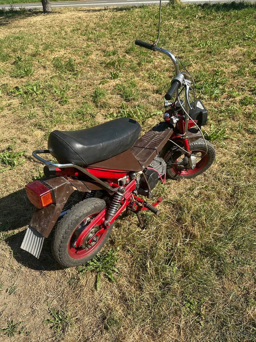 Stella Jawa 134 - 2