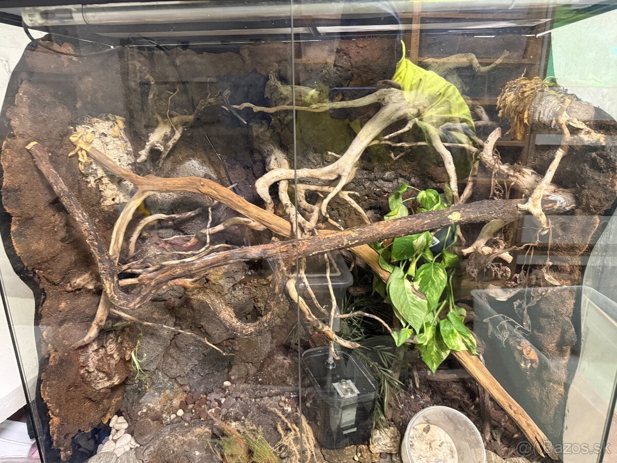 Terarium exoterra 90x90x45 - 2