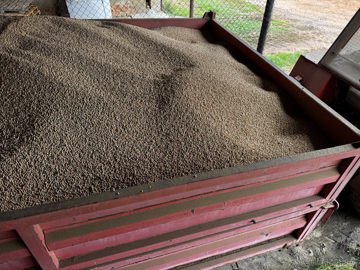 Hrach - vhodny pre holuby - 2