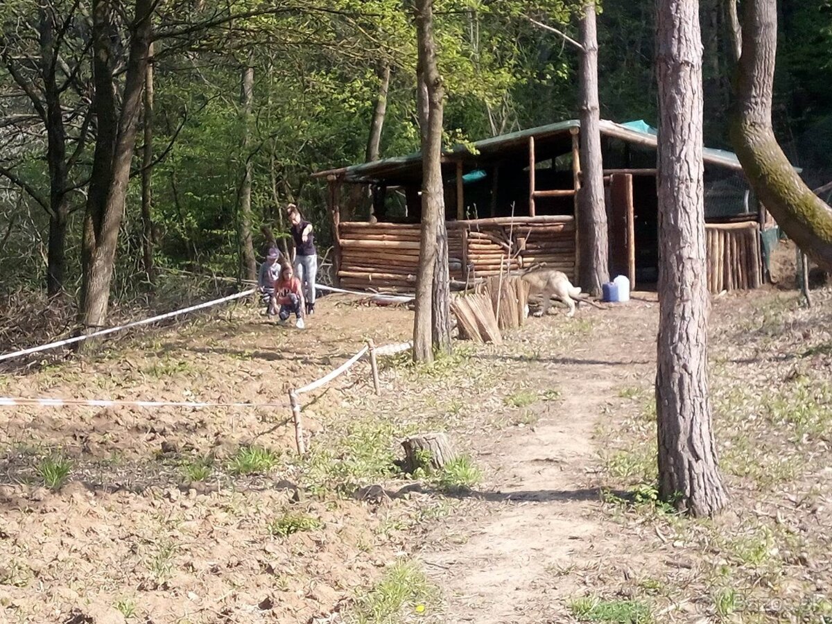 Ponúkam na predaj pozemok obec Banka - 2