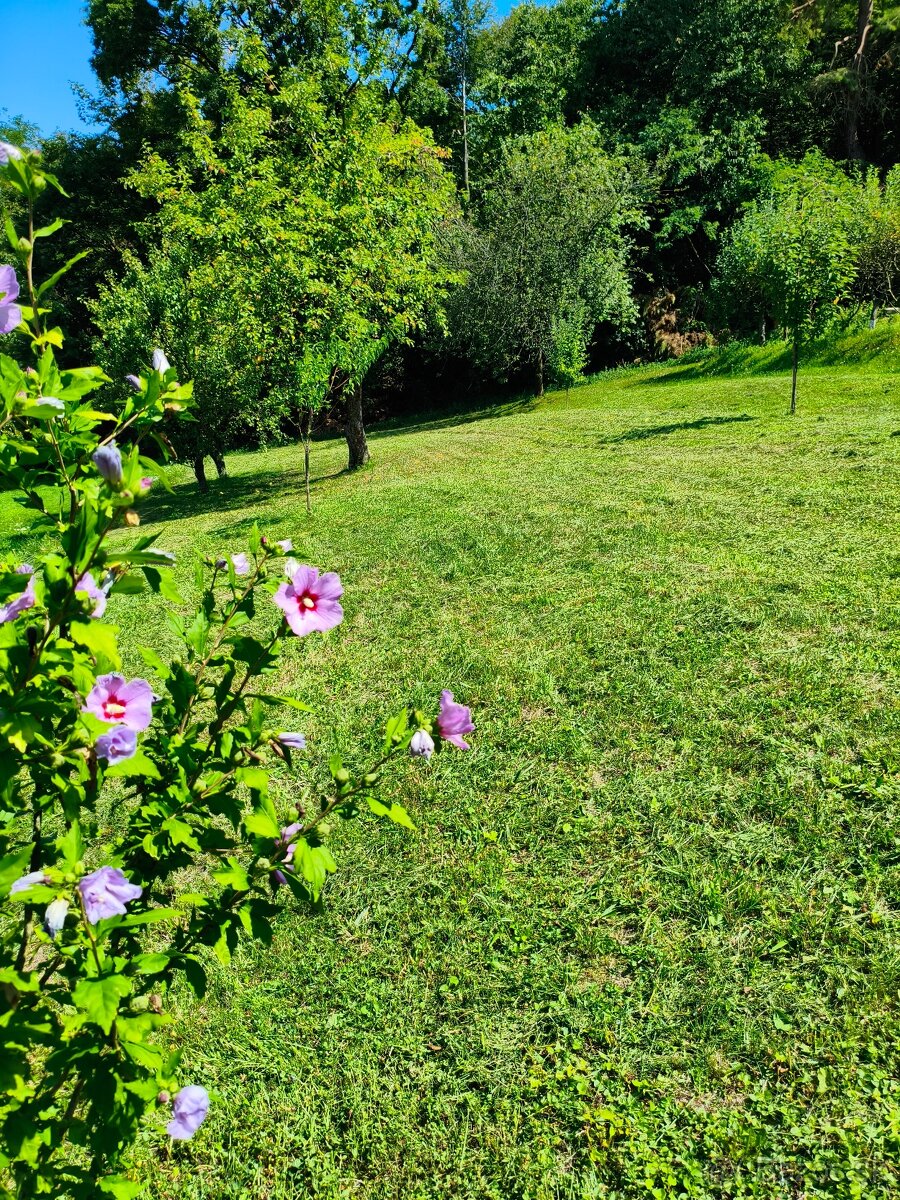 Záhrada v obci Bystré - majiteľ - 2