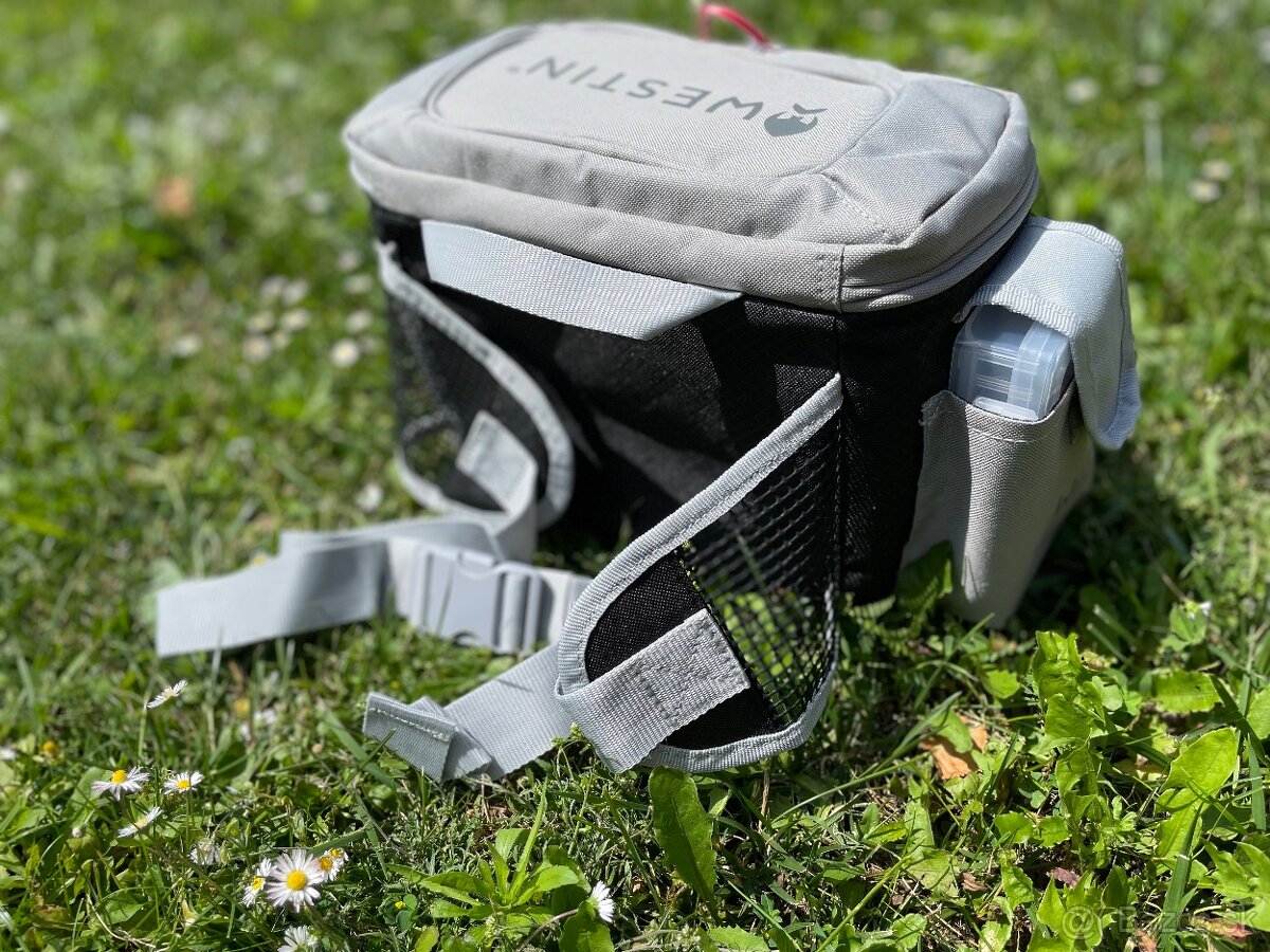 Prívlačová ľadvinka - 2