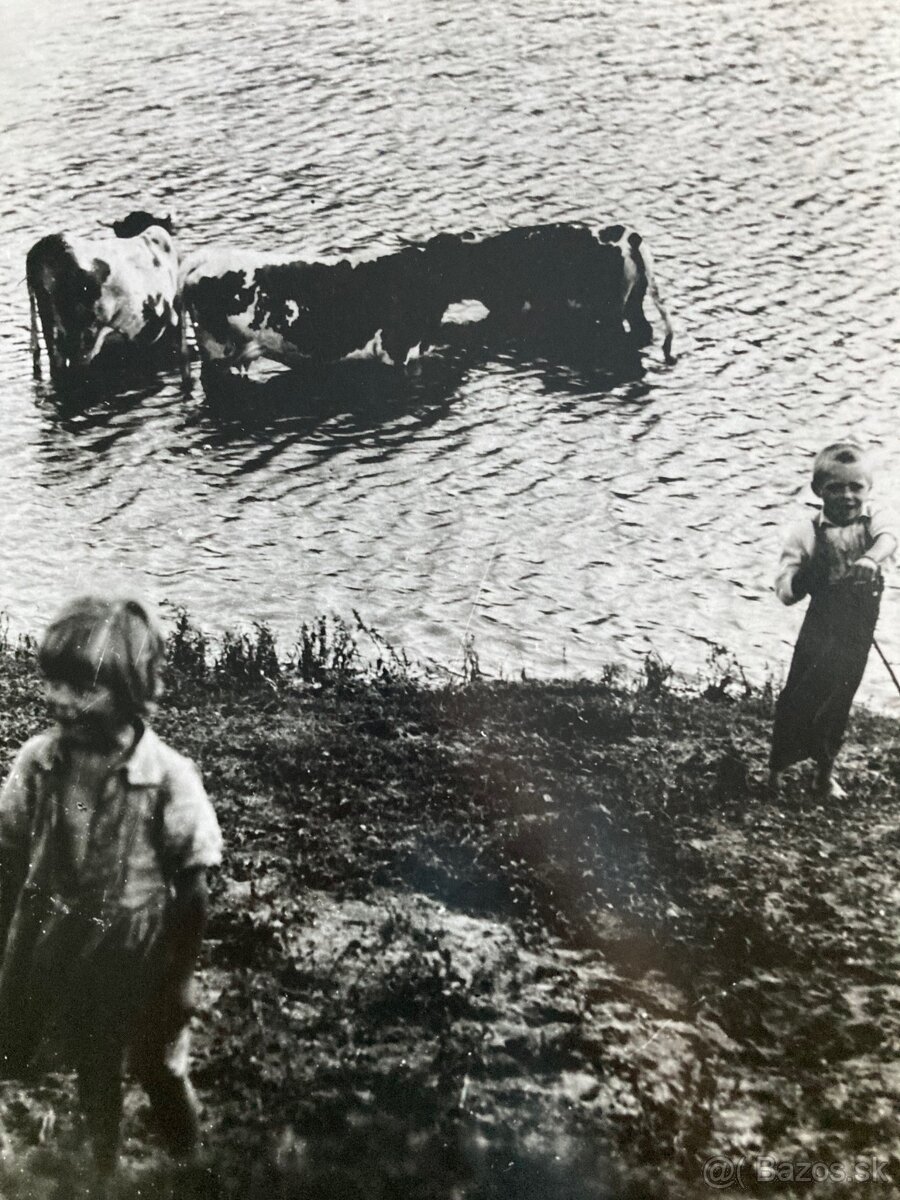 Irena Blühová - Najmladší pastier kráv - 2