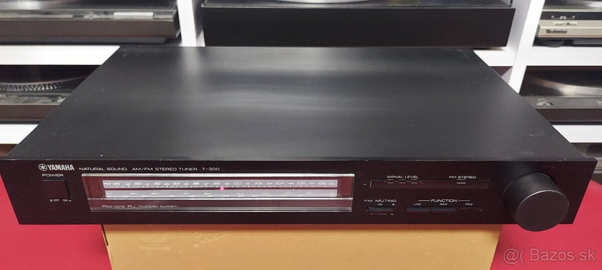 Yamaha T-300 - 2