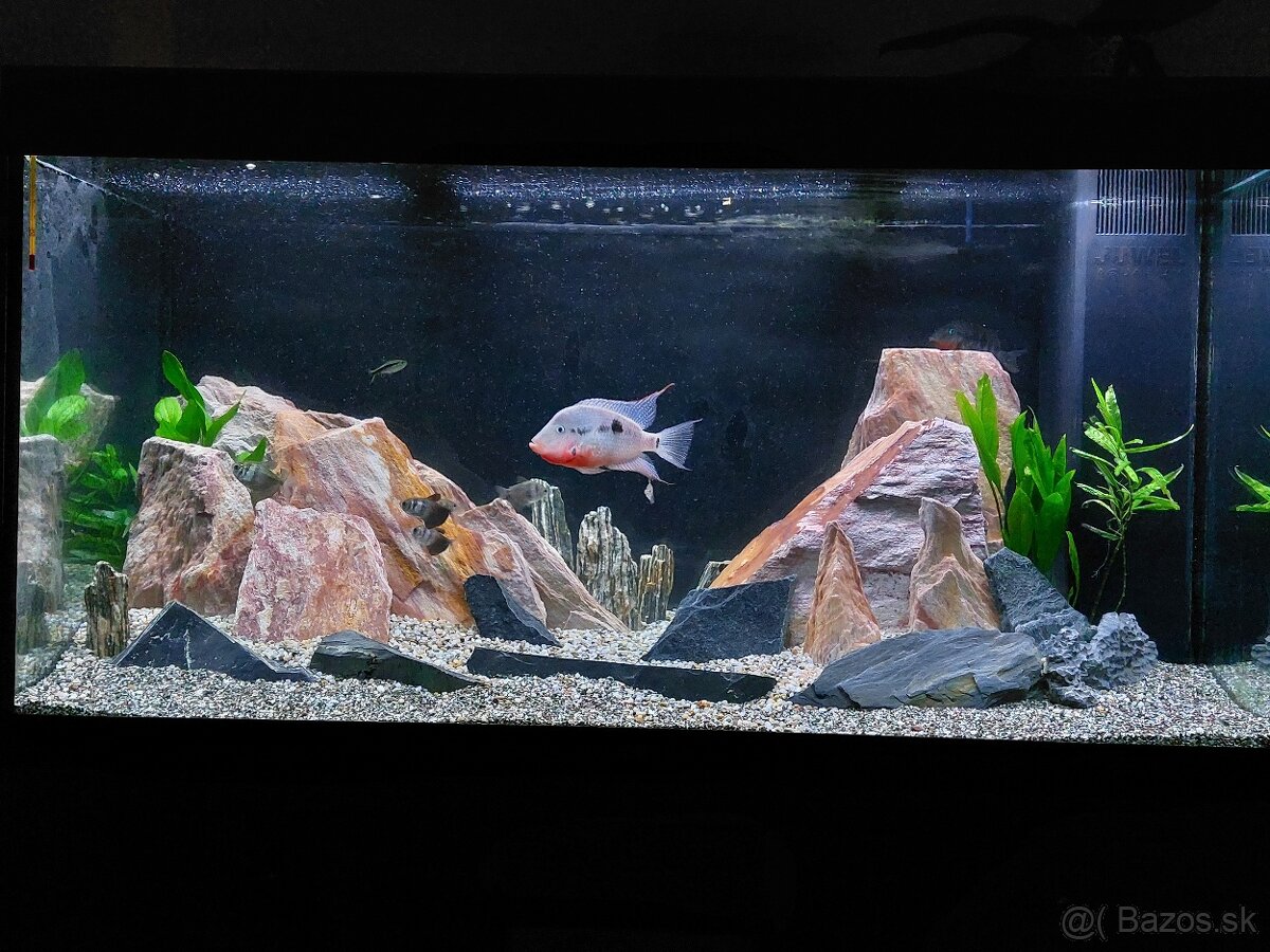 JUWEL RIO 350 LED - 2