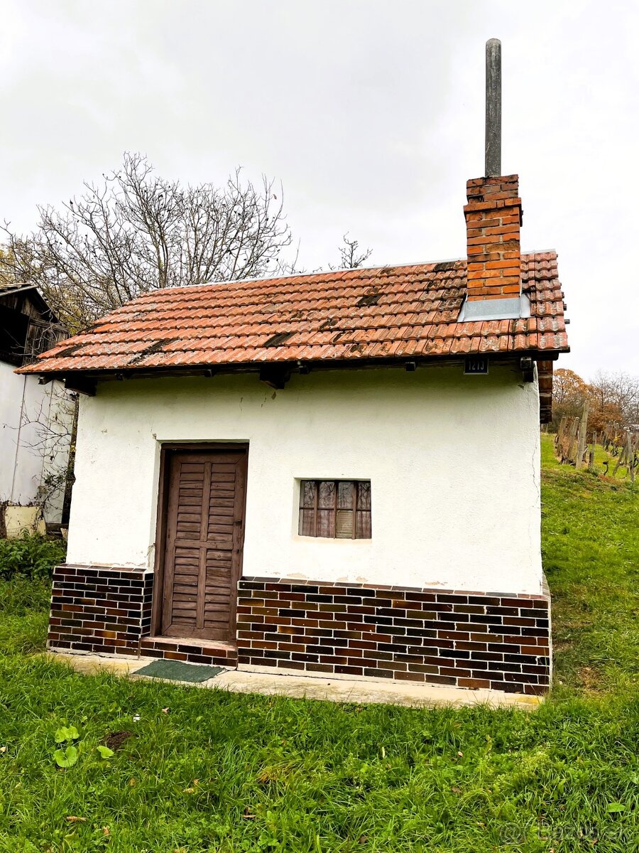 Rekreačný domček so širokým slnečným pozemkom, Staré Levice - 2