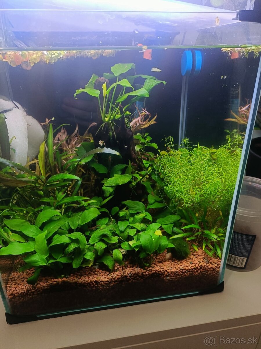 Nano akvárium 30l s príslušenstvom - 2