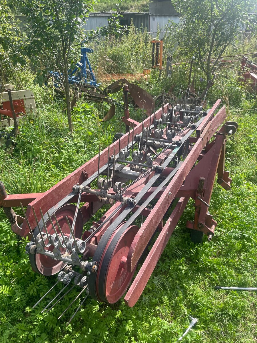 Pasova hrabacka Sip - 2