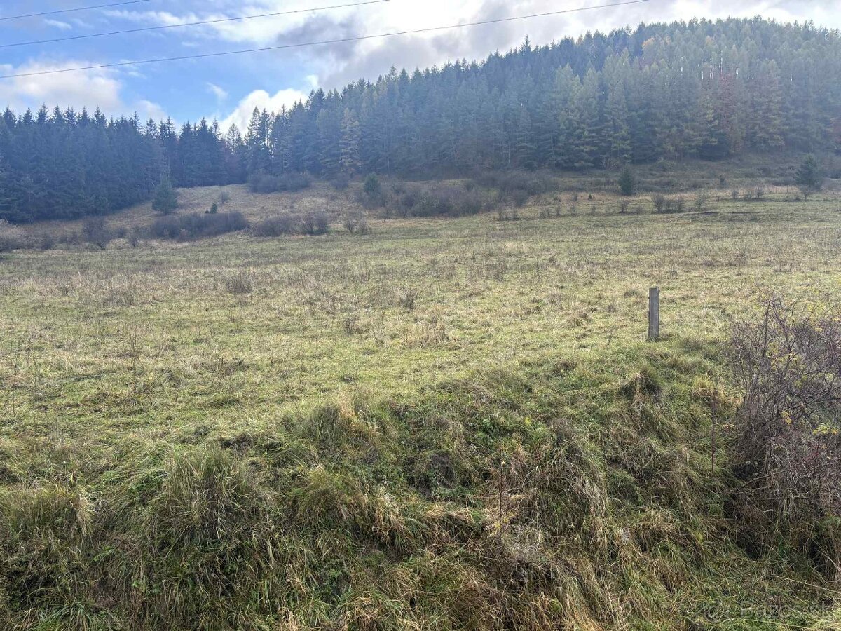 Predaj pozemku v Čičmanoch - 2