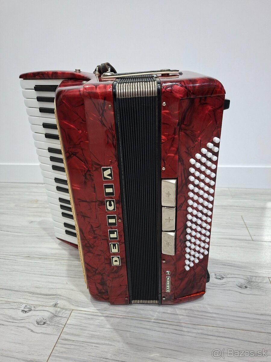 Akordeón Delicia carmen II. - 2