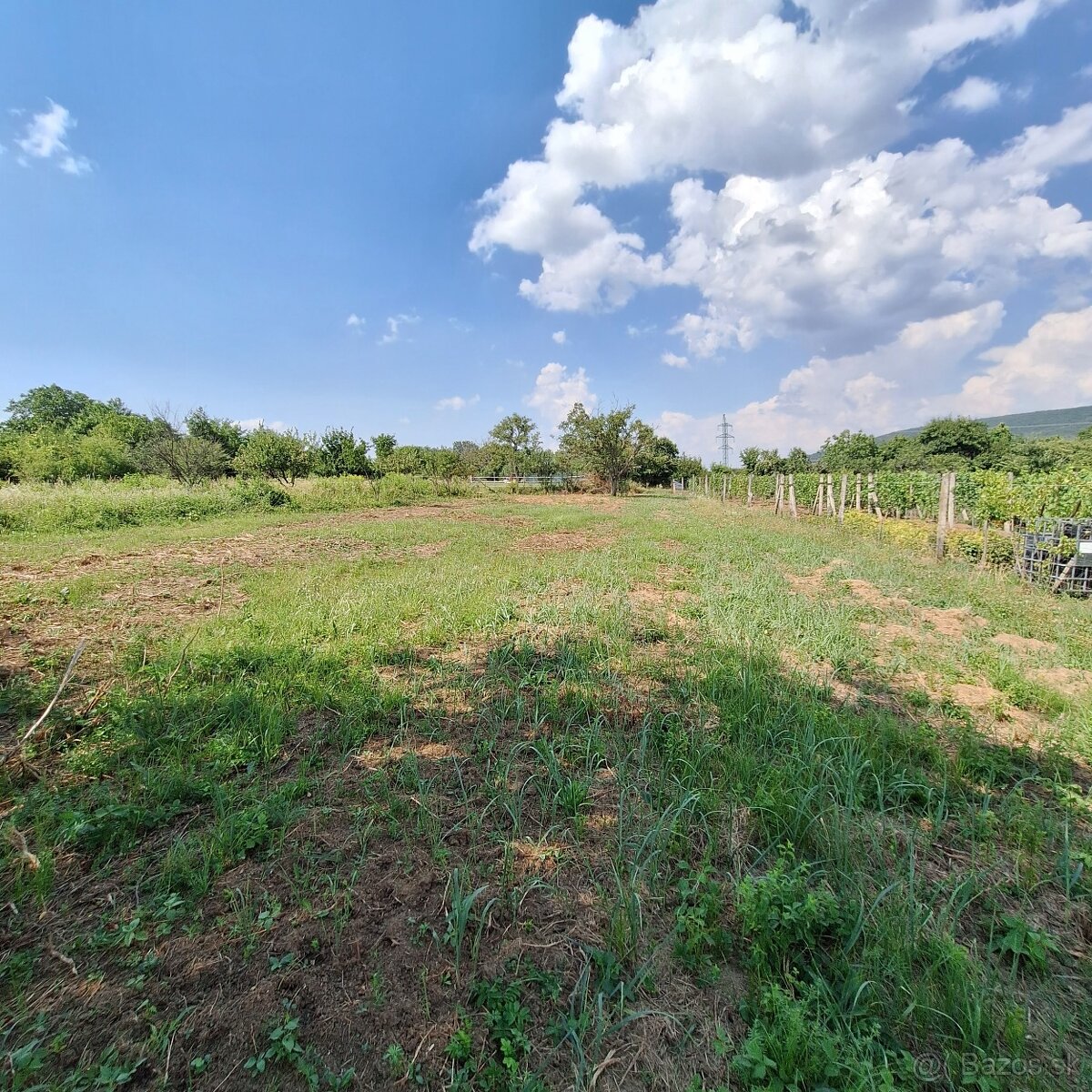 Predaj rekreačného pozemku - Rybník/Levice - 2
