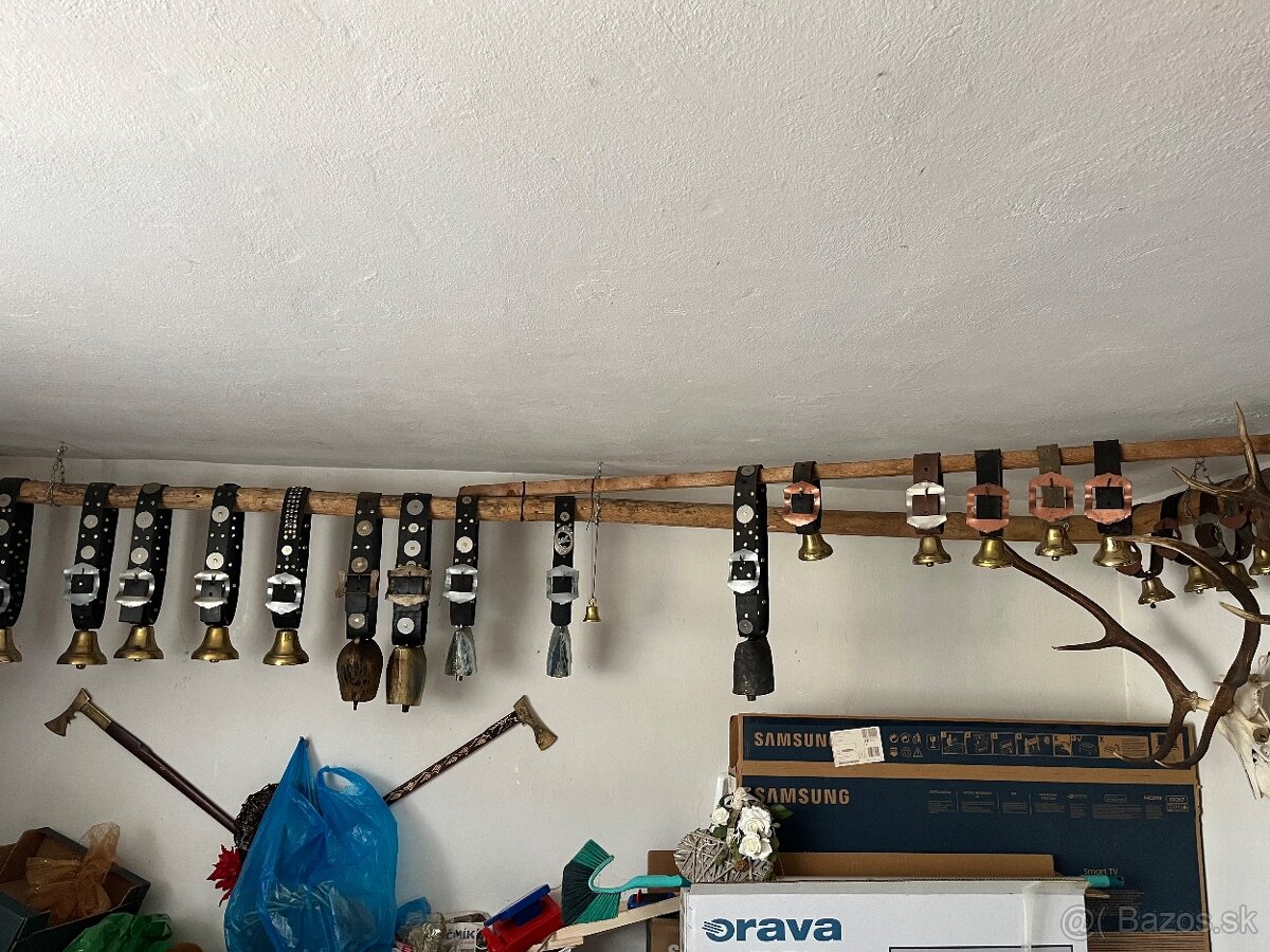 Zvonce, spiežovce - 2