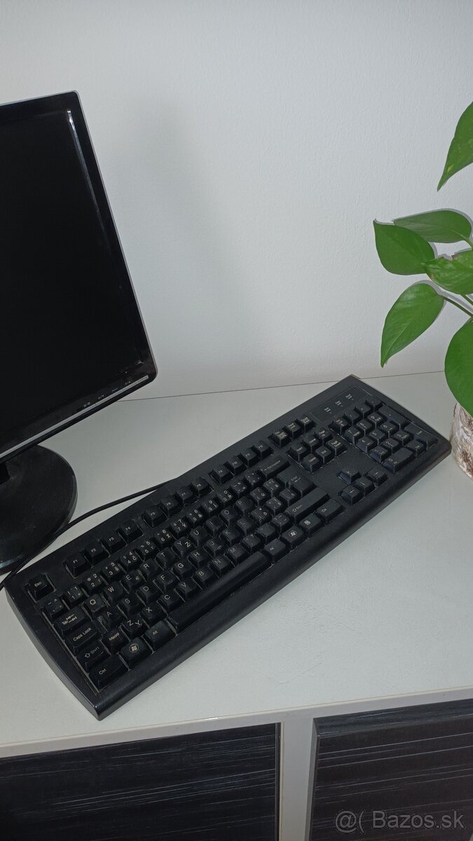 Asus - 2