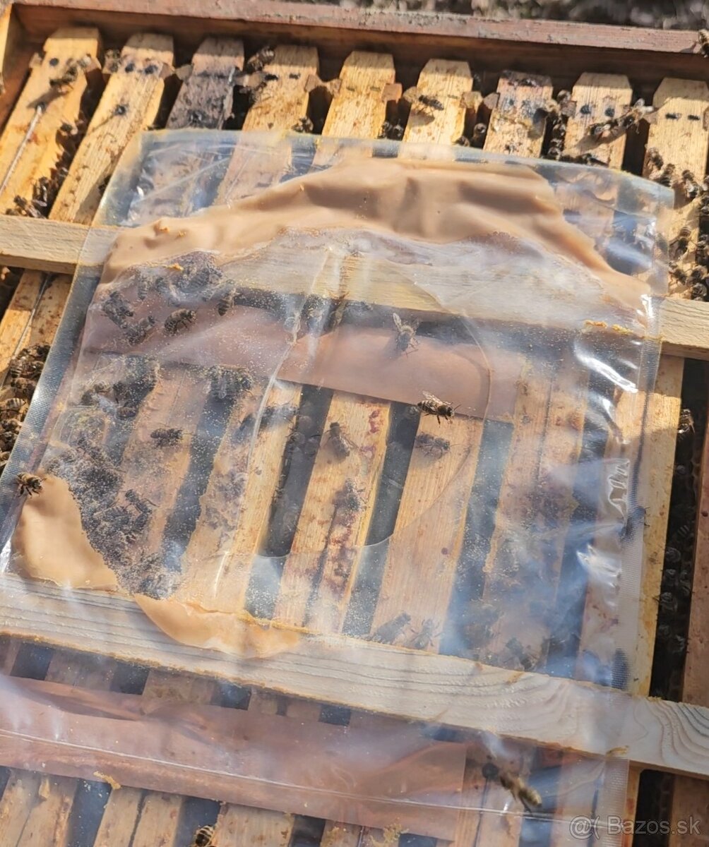Včeli včelstvá B10 - 2