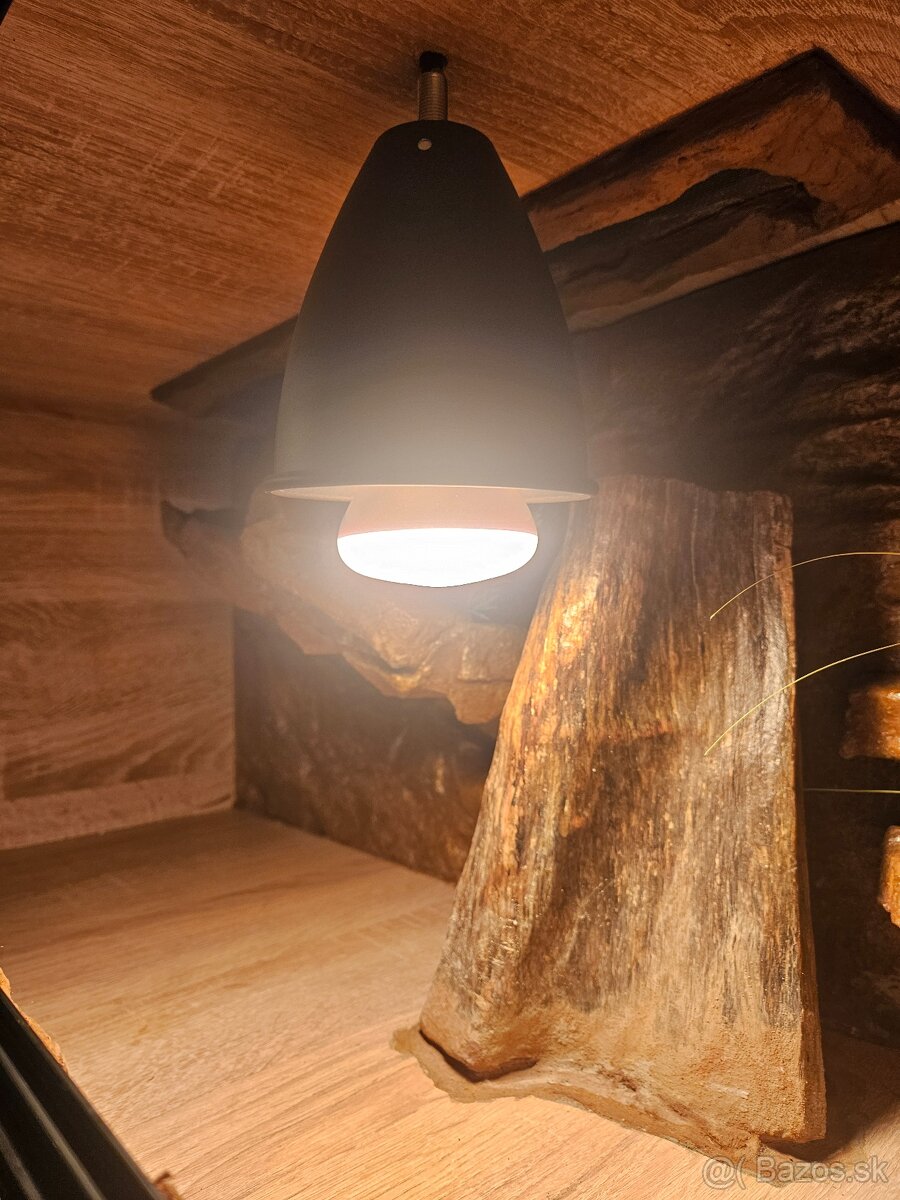 Terárium 80x40x40 Gekončíķ nočný Vianočna zľava - 2