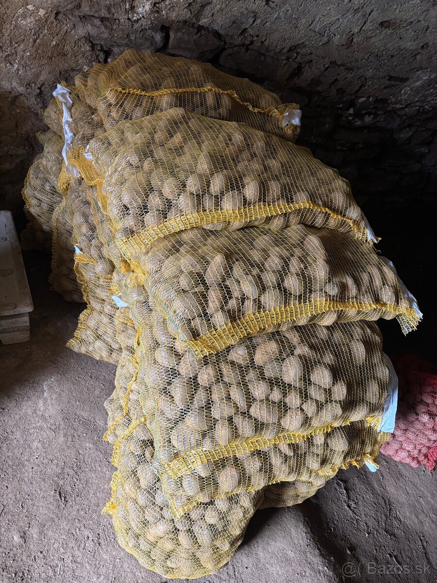 sadbove zemiaky sadba - 2