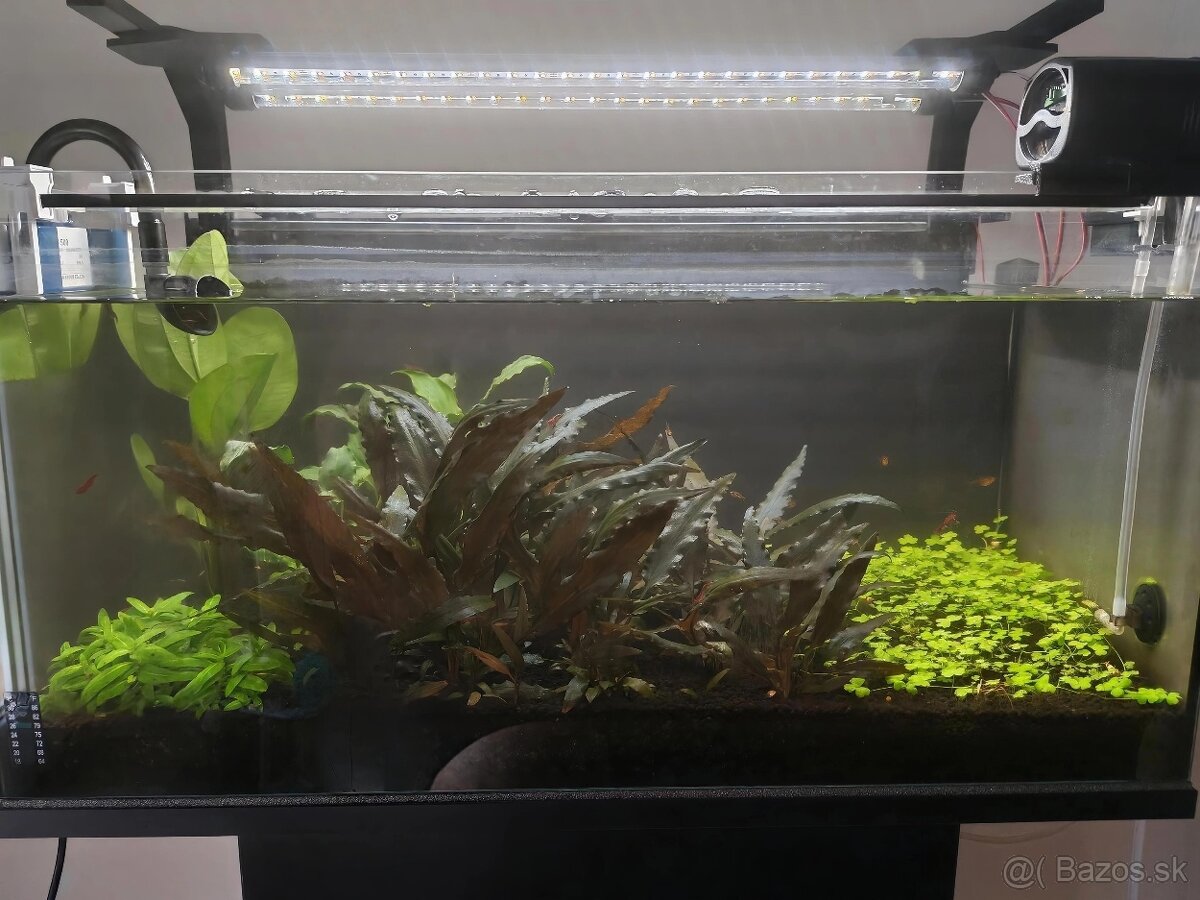 Predám rovne akvárium 54L - 2