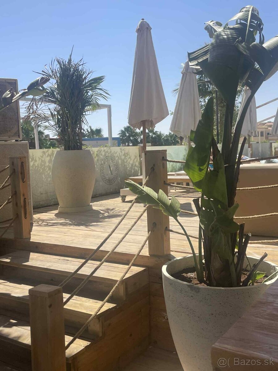 STUDIO SELENA BAY HURGHADA - 2