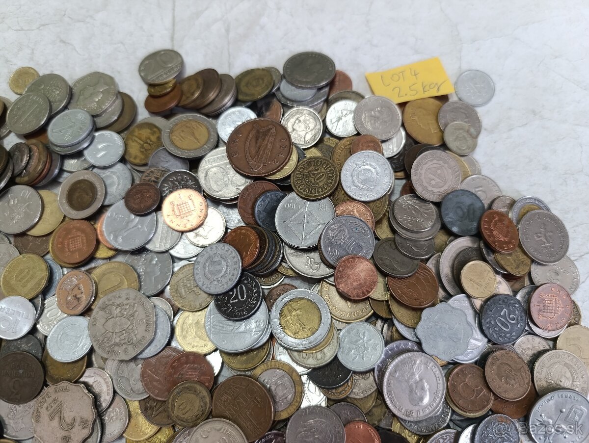 Mince 2.5kg lot4 - 2