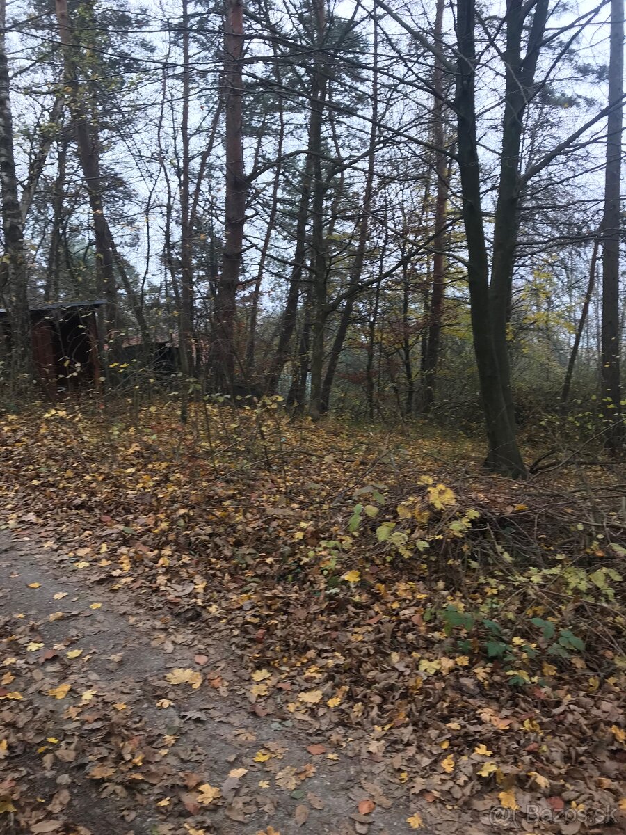 Stavebný pozemok - Domaša, Nová Kelča - 2