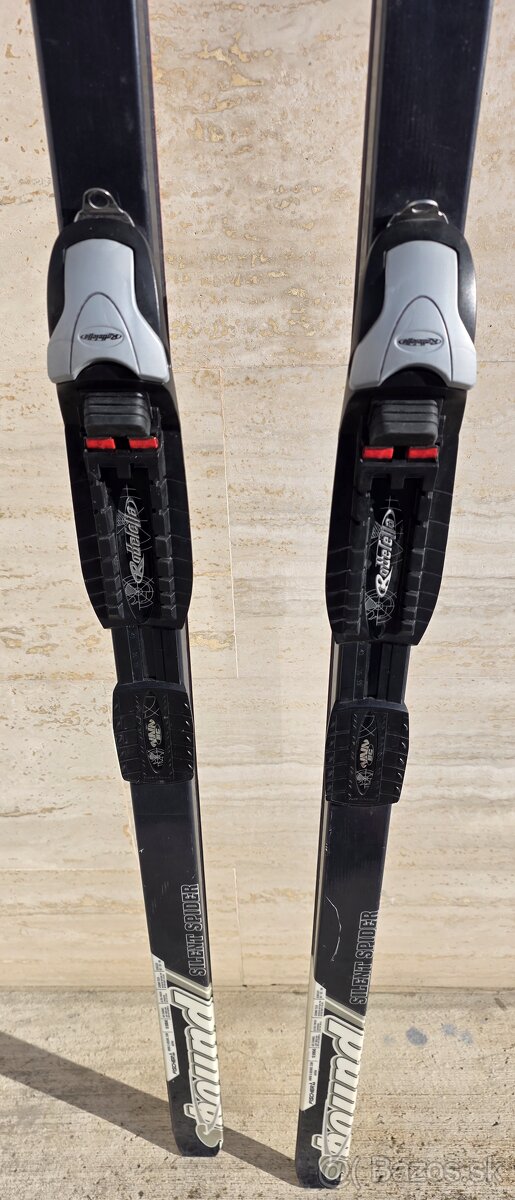 Fischer backcountry - 2