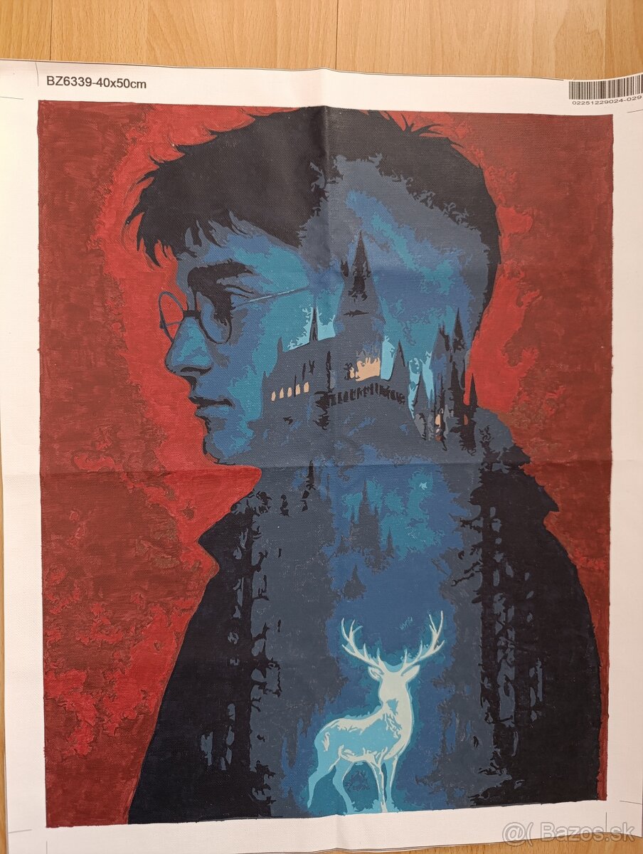 Čarovný obraz Harry Potter - 2