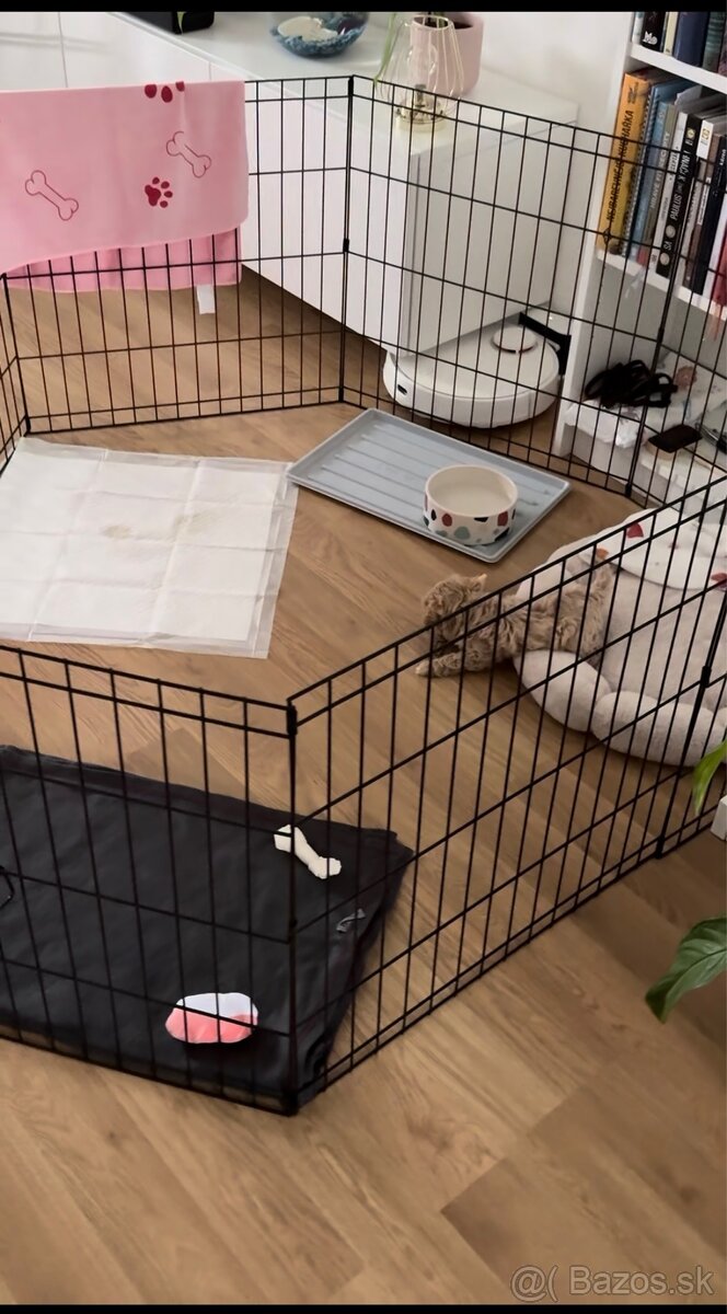 Ohrádka pre psa - 2
