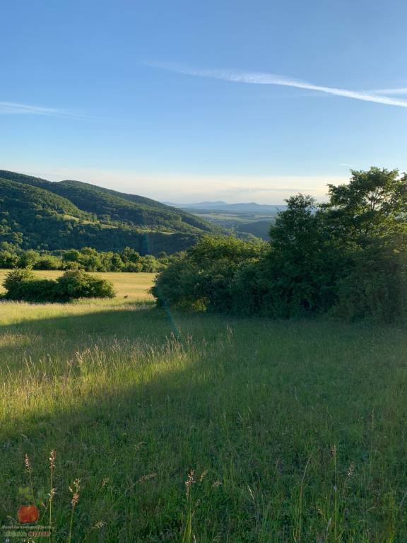Predaj pozemku v prírode Jedľové Kostoľany - 2