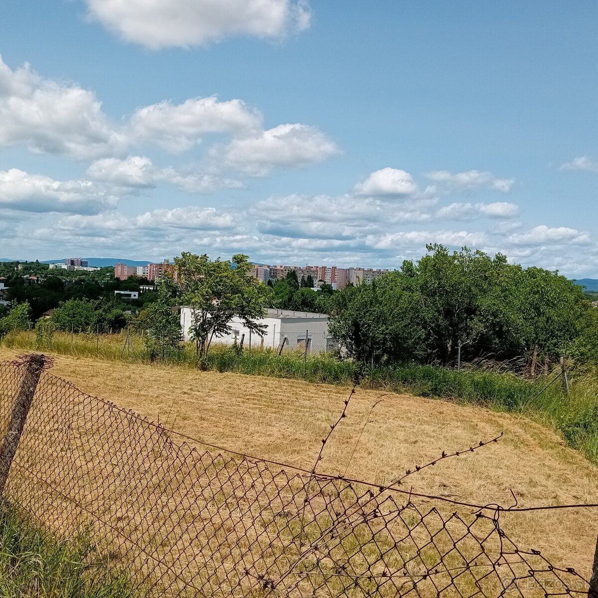 Investičný pozemok Levice 3300 m2 -Staré Levice aj chatka - 2
