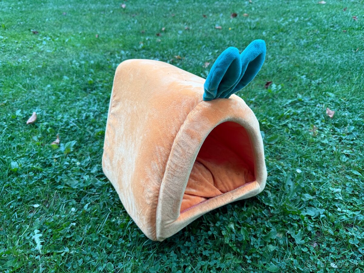 Dve morské prasiatka + príslušenstvo - 2