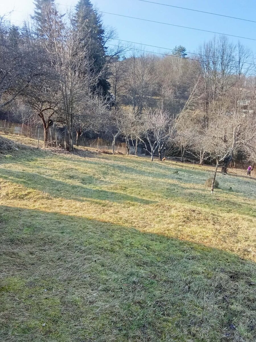 Záhrada - 2