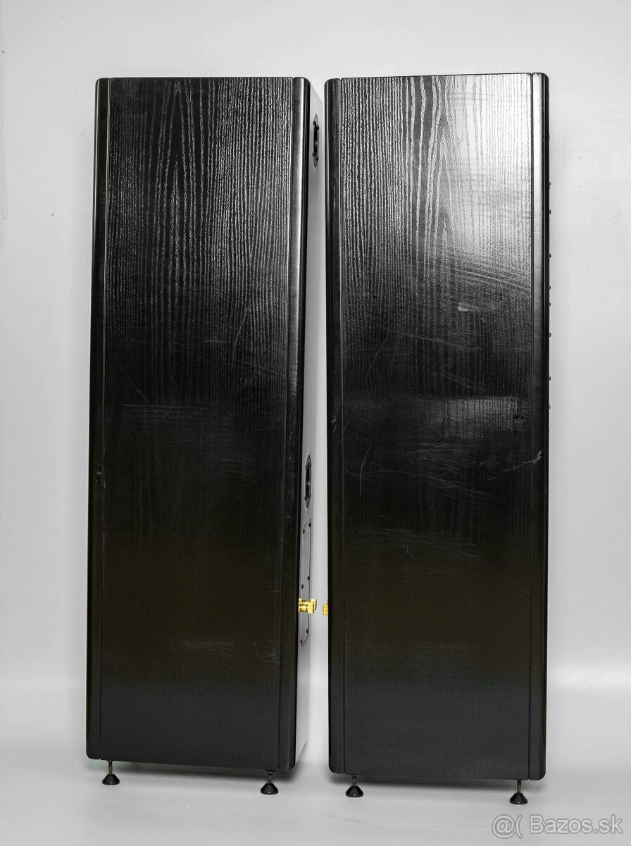 Vienna Acoustics Apis - 2