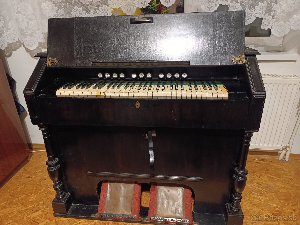 Harmonium Kotykiewicz - 2
