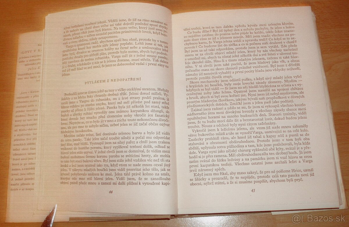 Lovy v Karpatech - 2