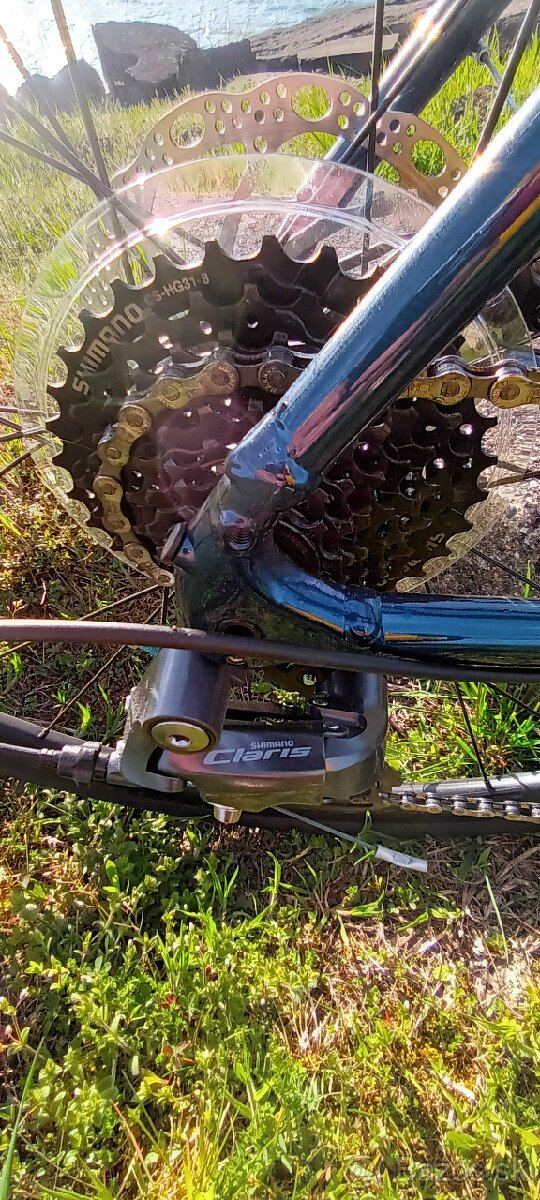 Cestny bicykel TREK DOMANE AL 2 - 2