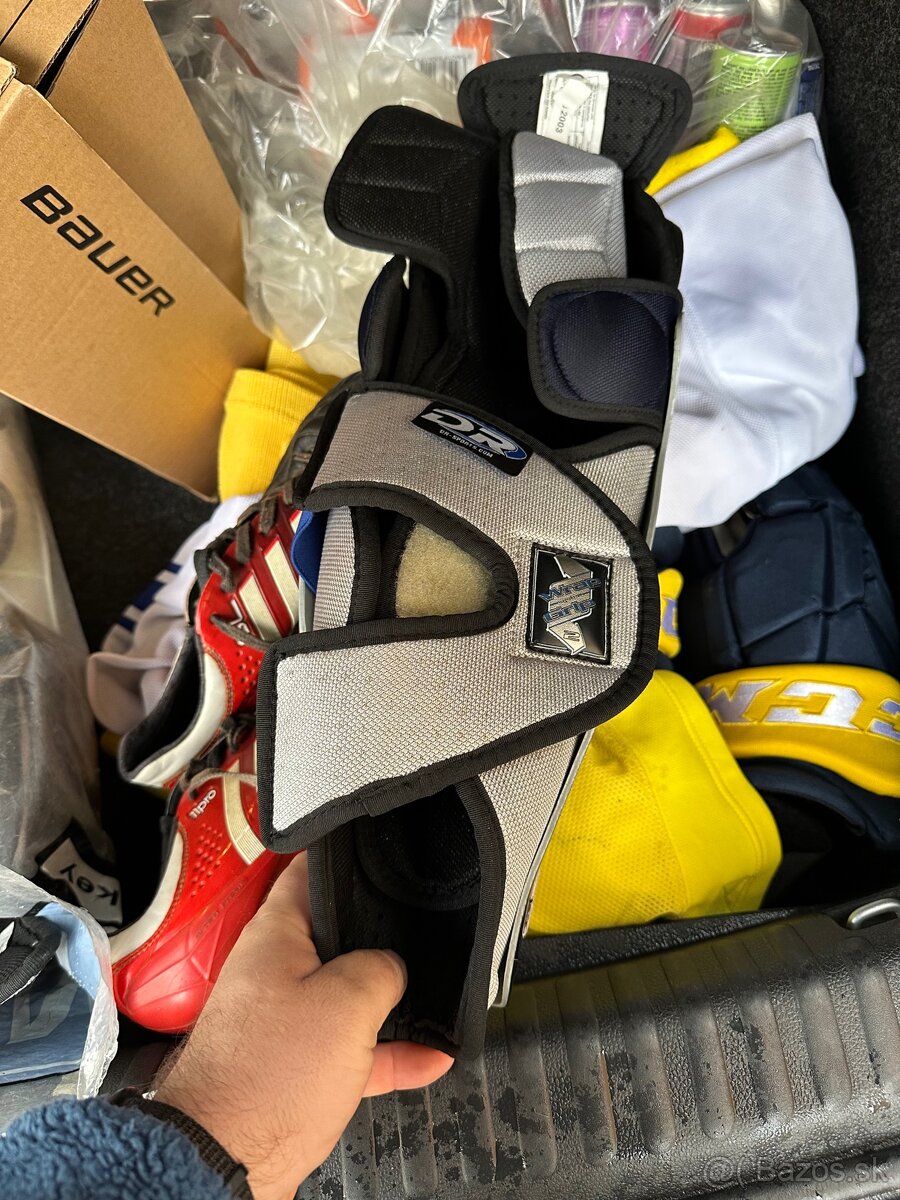 Hokejove holene nove - 2