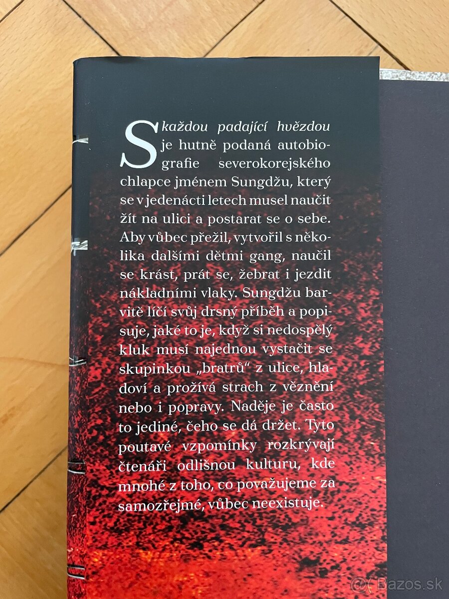 S kazdou padajici hviezdou - Sungdzu Lee, Susan McClelland - 2