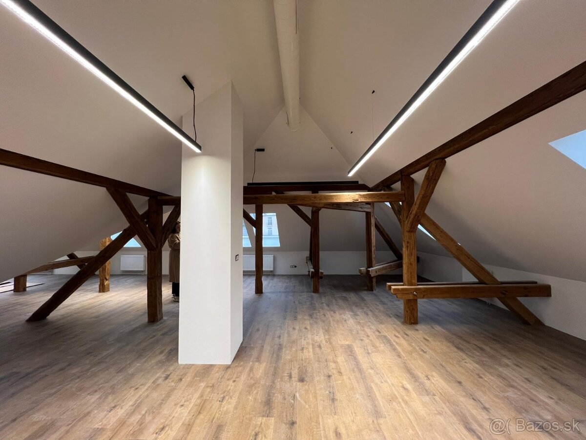 PRENÁJOM- PRIESTORY NITRA VILA NA ČÍNEŠI CENTRUM - 2
