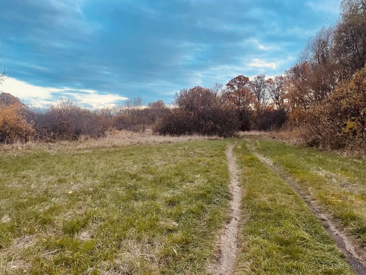 Pozemok - Lúka, Malé Leváre, 26 385 m² - 2