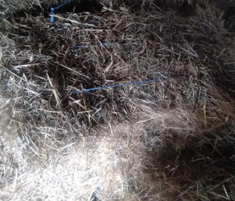 Seno malé hranaté balíky - 2