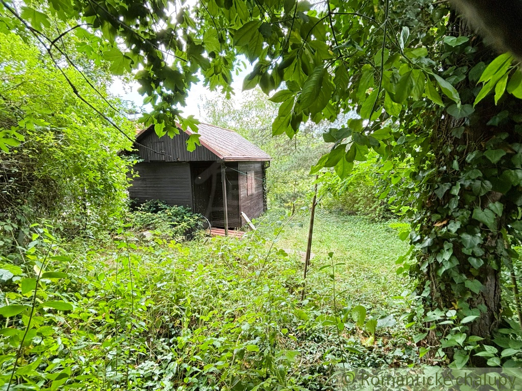 Záhrada v Stupave, s potenciálom na rekreáciu aj výstavbu - 2