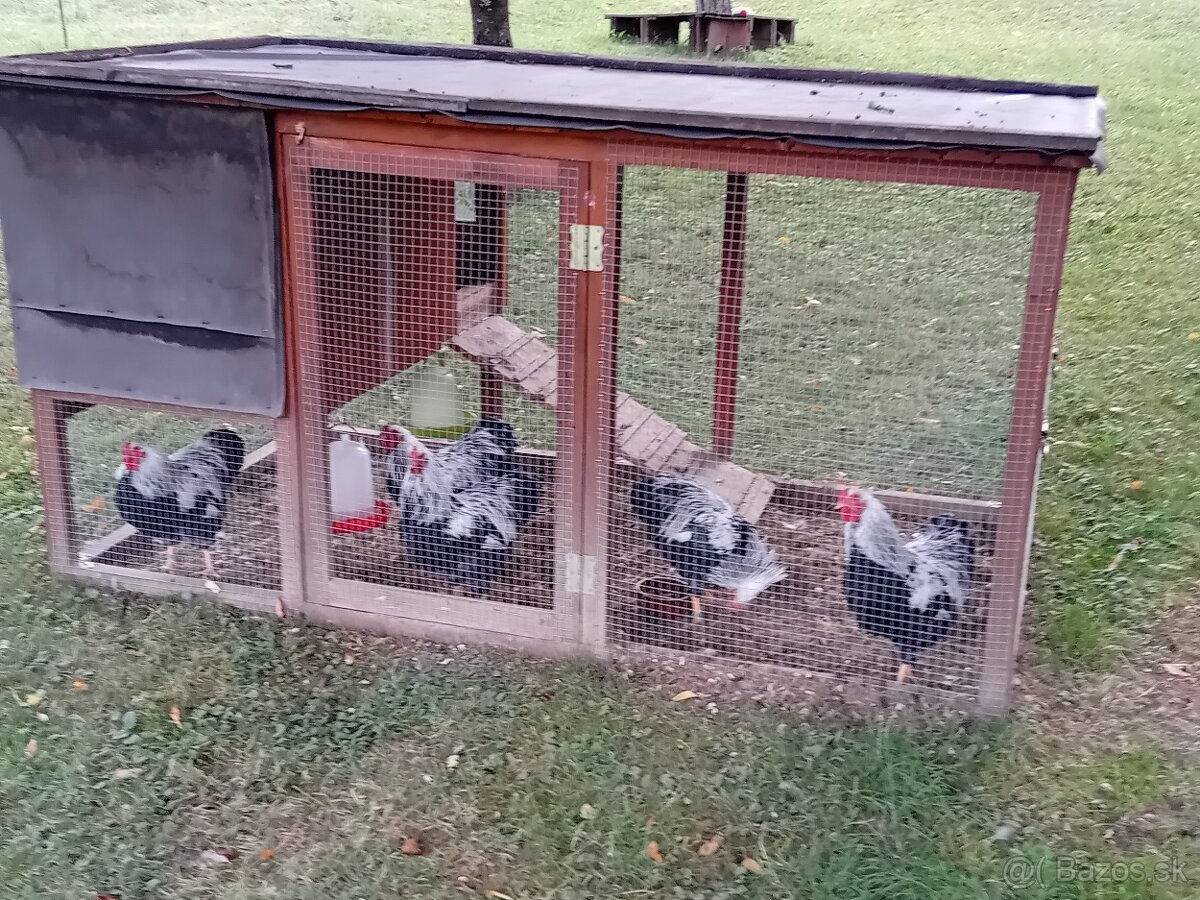 Prenosná voliéra s kurínom - 2